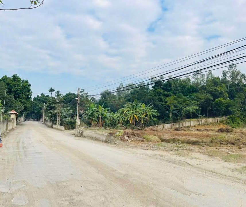 Bán Gấp 1.1ha Đất Vườn Liên Sơn, Lương Sơn, HB - Sổ Đỏ Rõ Ràng