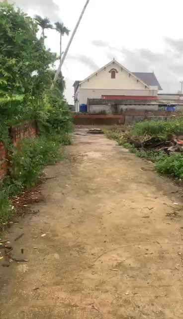 Đất nền Tân Viên Bến Cát 80.1m² - Sổ đỏ chính chủ!