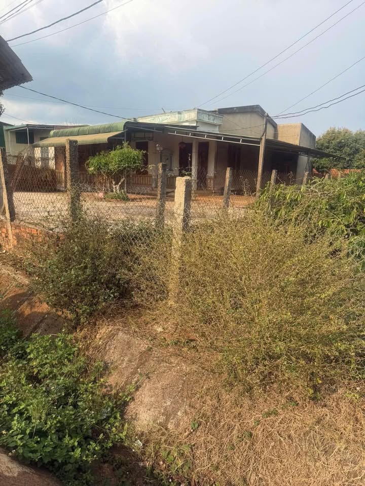 Đất nền Buôn Hồ 1440m² QL29 - Sổ đỏ chính chủ, tiềm năng sinh lời!