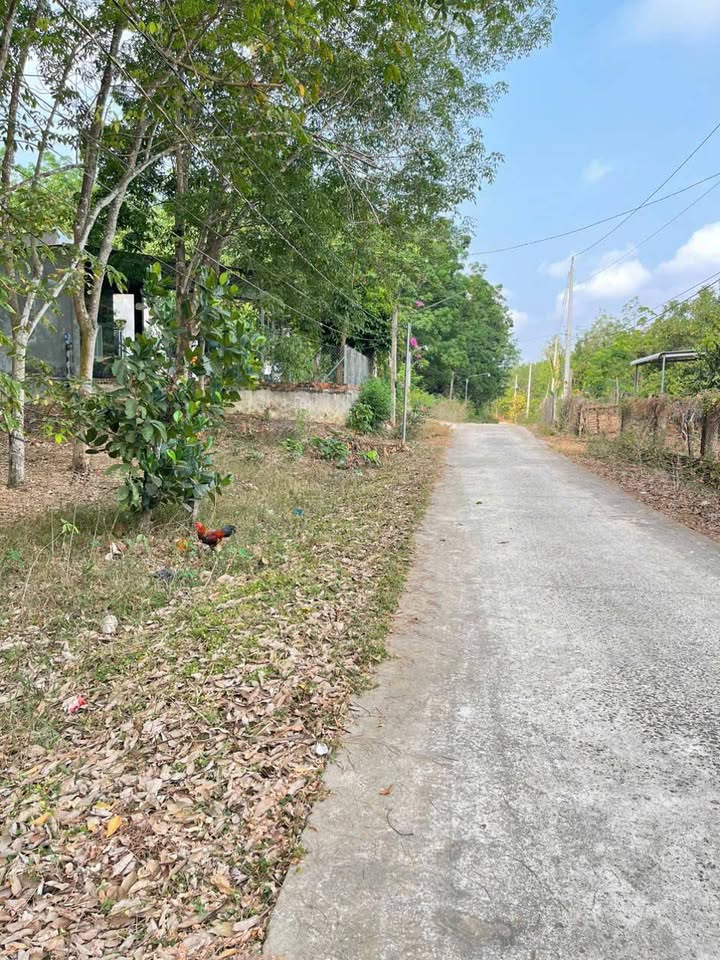 Bán Đất 15000m² Mặt Tiền 52m Đường ĐT752, Bàu Bàng, Bình Dương - Giá 4.5 Tỷ