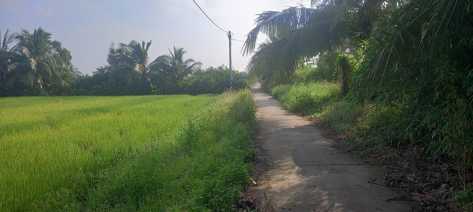 Bán Đất Lúa Mặt Tiền Rạch Trát 2, Rạch Giá - 2088m²