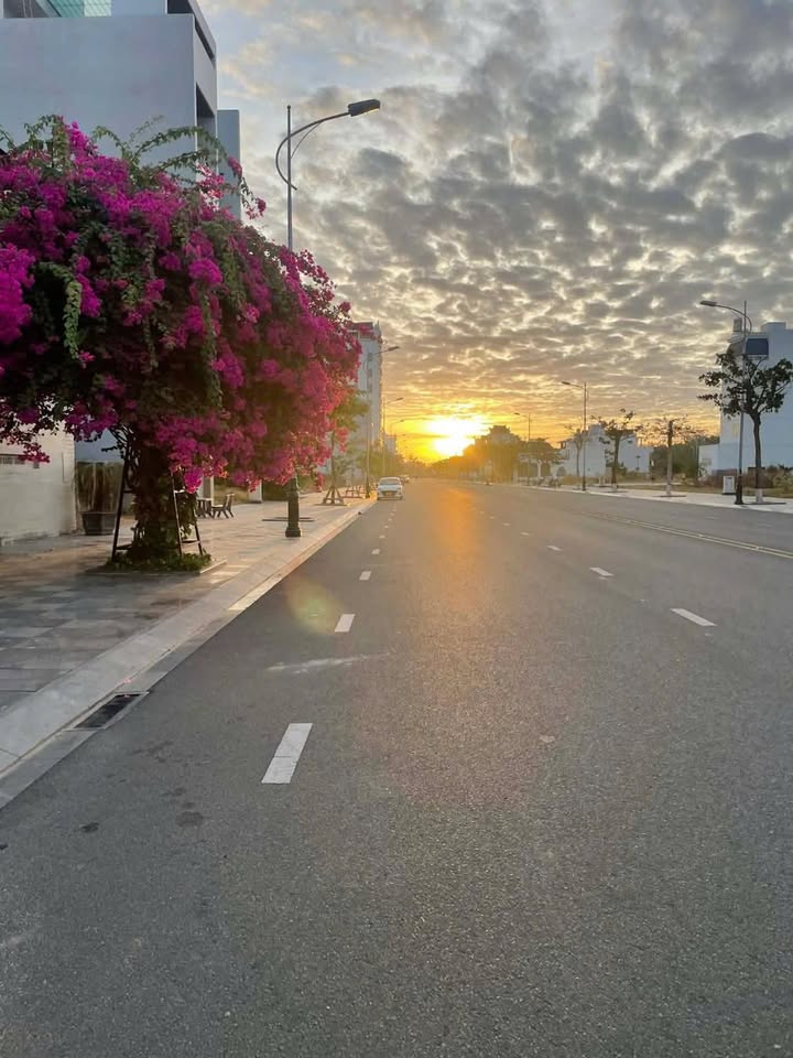 Cho thuê nhà nguyên căn Phố Biển Ocean Dunes, Phan Thiết - 240m², Kinh doanh tốt