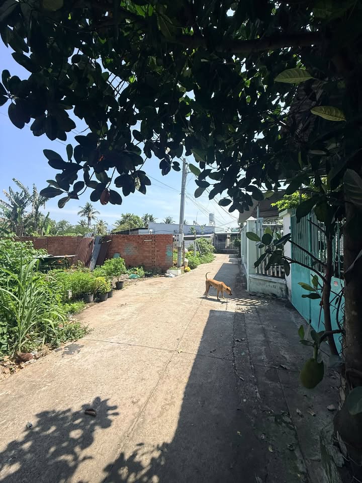 Đất thổ cư 147m² Hẻm xe hơi Trưng Nữ Vương, Tây Ninh - 800 triệu