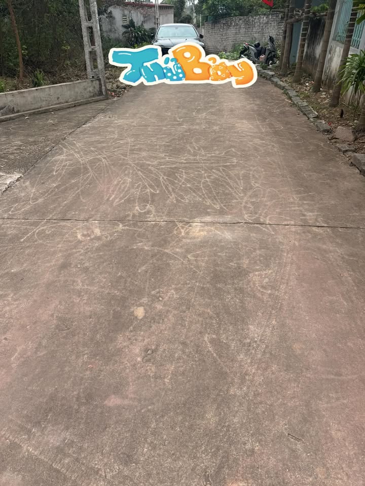 Đất Vườn Nghỉ Dưỡng Yên Dũng, Bắc Giang - 1300m² Giá Tốt