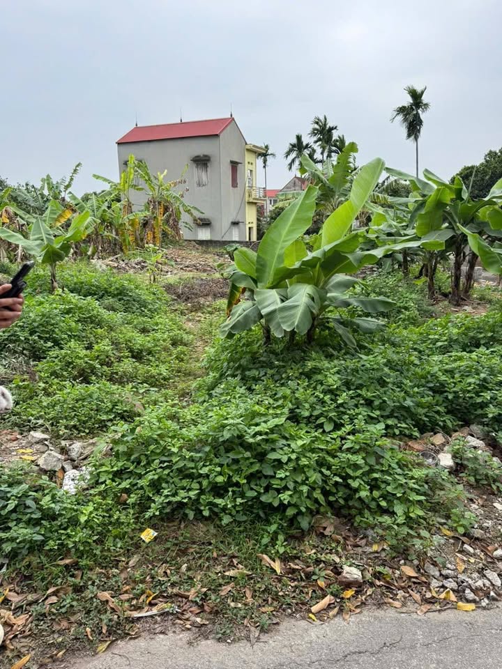 Đất nền Đồng Sơn, Bắc Giang 84m² - Sổ đỏ chính chủ!