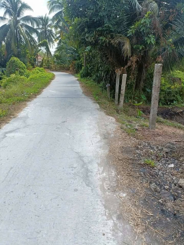 Đất Nền Phú Đức Long Hồ 408m² (2 Sổ Hồng) - Giá Đầu Tư 1.2 Tỷ