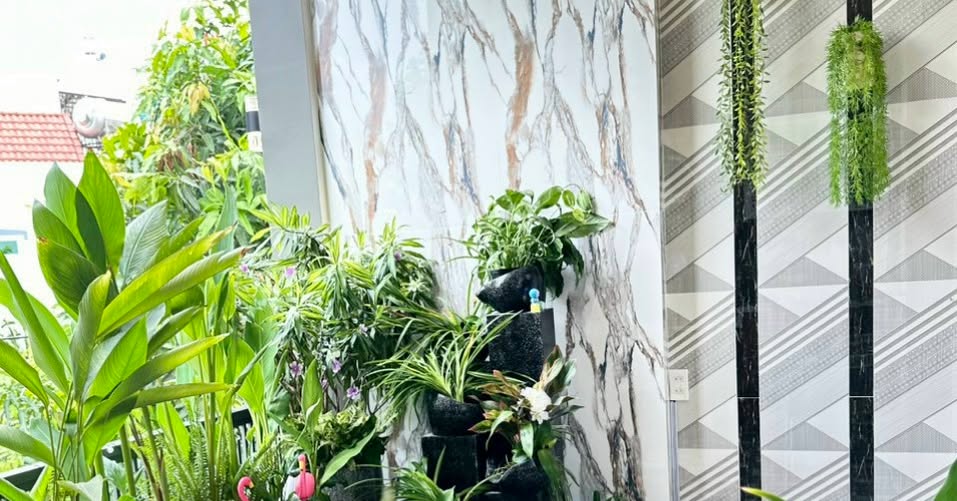 Nhà KDC 3A Cần Thơ 65m² - Sổ hồng, ô tô vào tận nhà!