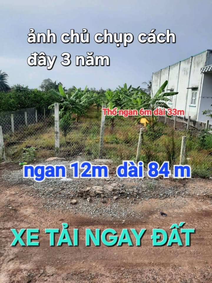 Đất Nền Thủ Thừa 1006m² Sổ Hồng Sẵn - Mặt Tiền 12m Đường Lớn