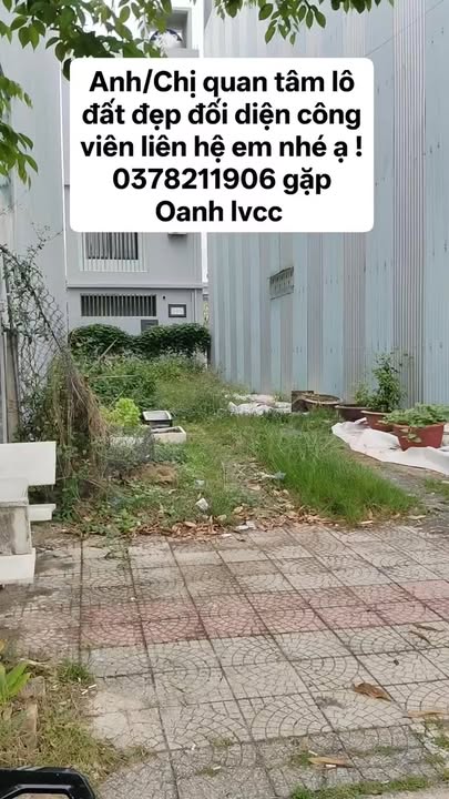 Đất Nền Hòa Xuân 100m² Đường Đỗ Quỳ - View Công Viên, Sổ Đỏ Rõ Ràng