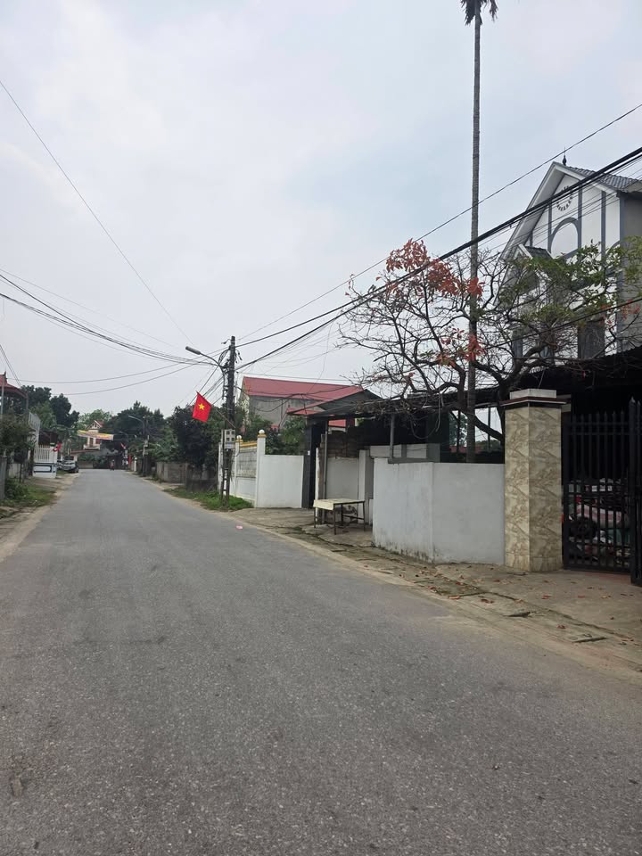 Đất Lô Góc Phố Hoa, Việt Yên 125m² - Sổ Đỏ Sẵn Sàng Sang Tên