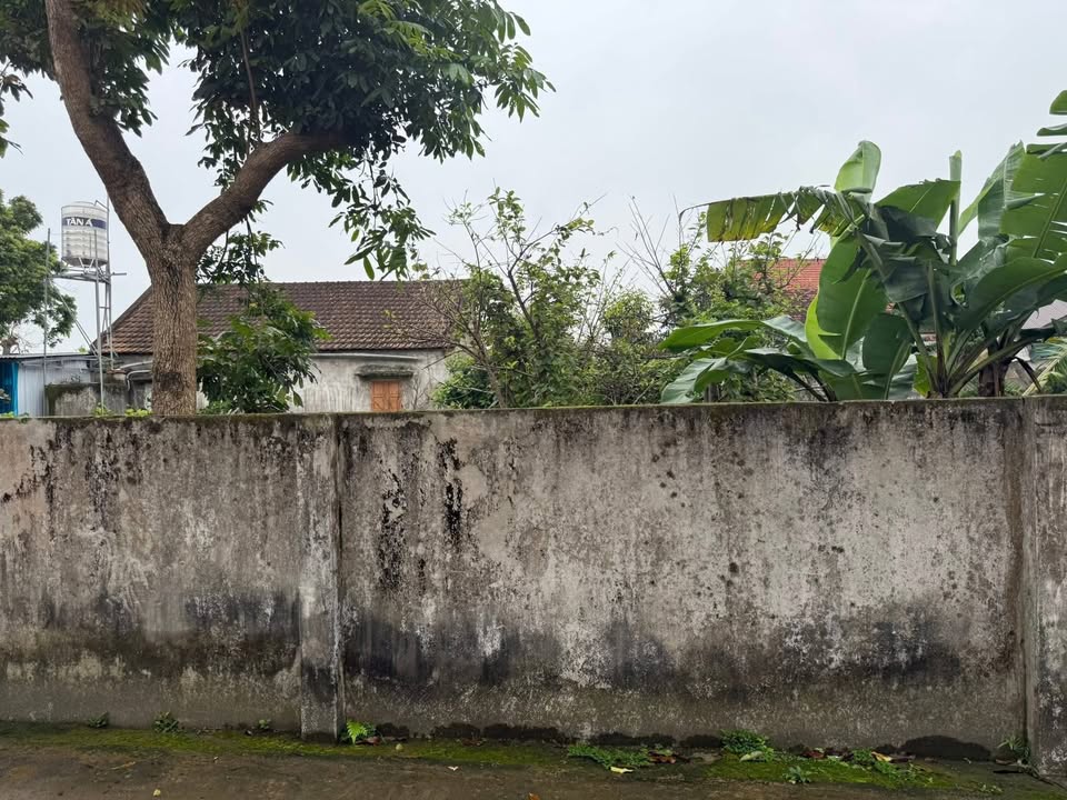 Đất Nền X5 Trần Hưng Đạo, Thái Hòa 90m² - Sổ Đỏ Sẵn Sàng