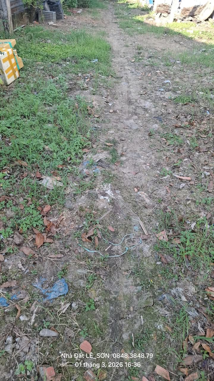 Đất nền Tân Hiệp B 240m² - Sổ đỏ chính chủ, đường nhựa ô tô!