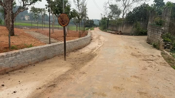 Đất nền Yên Thế, Bắc Giang 213m² - Sổ đỏ, giá đầu tư