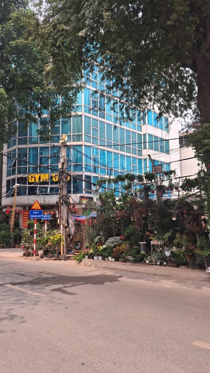 Nhà Mặt Phố Hoàng Hoa Thám - Lô Góc 112m² - Kinh Doanh Đỉnh Cao