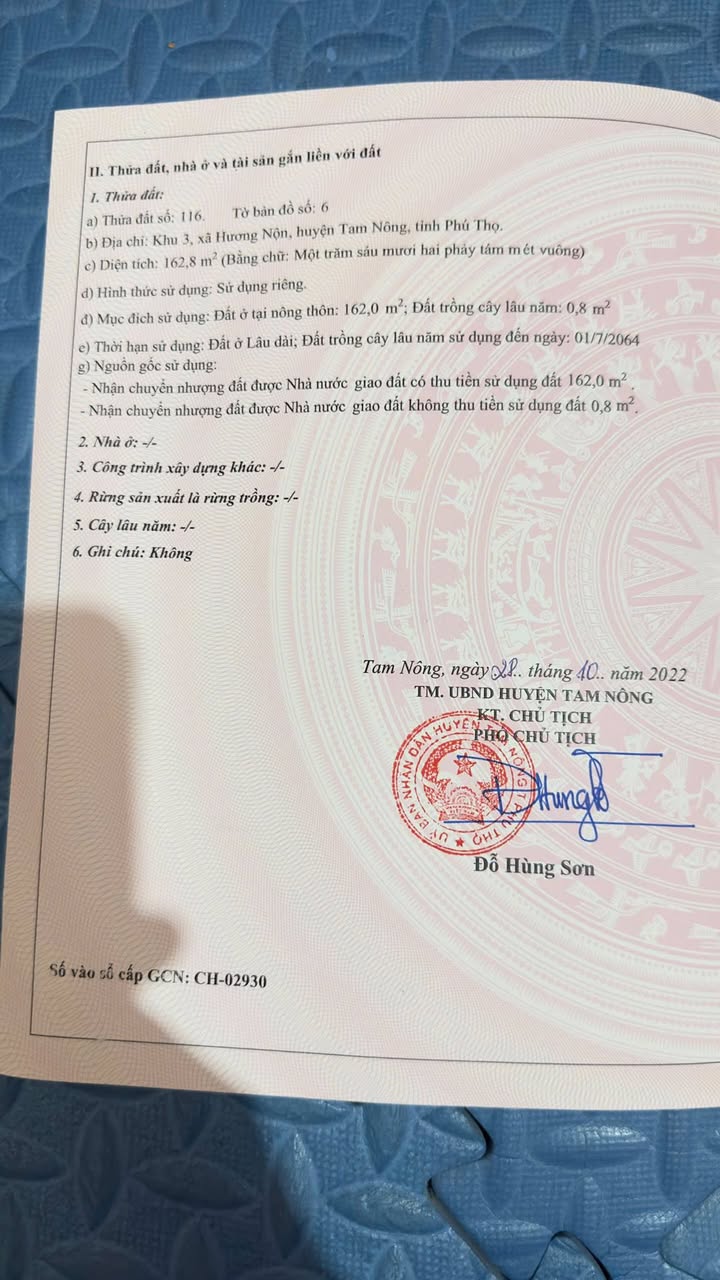 Đất nền Tam Nông Phú Thọ 162m² - Pháp lý rõ ràng, bán gấp!