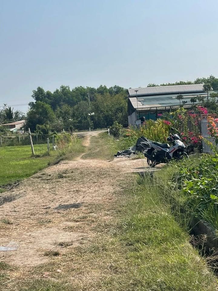 Đất Vườn Trung Lập Hạ Củ Chi 509m² - Giá 1 Tỷ Thương Lượng