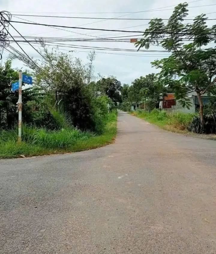 Bán Đất Hóc Môn 2000m² (15 Tỷ) - Mặt Tiền Xe Tải Xã Nhị Bình