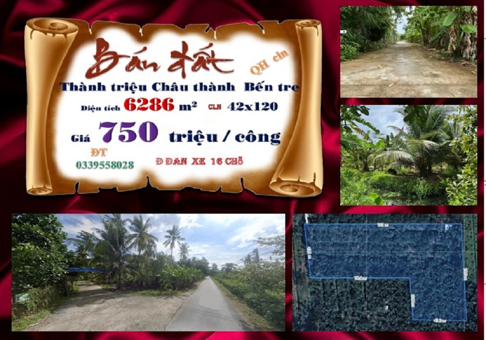 Đất Vườn Bến Tre 6286m² - Vị Trí Đắc Địa, Giá Đầu Tư