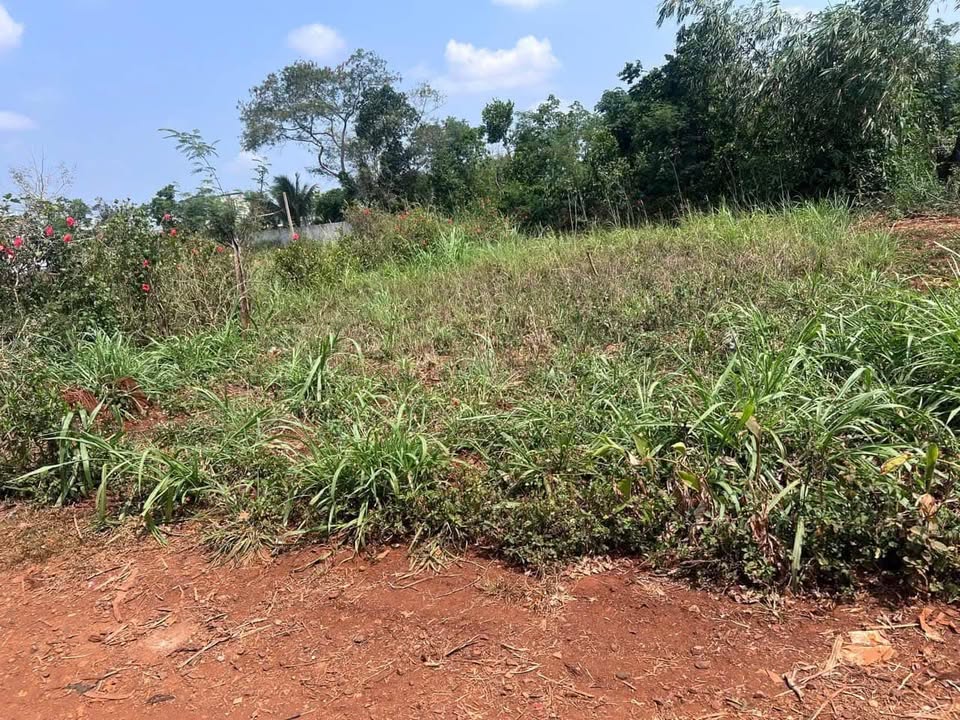 Đất nền Ea Kar 184m² - Sổ sẵn, cách QL26 chỉ 350m