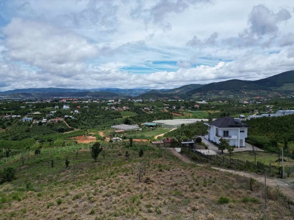 Đất nền Thôn Trung Hà, Lâm Hà 1105m² - Sổ đỏ chính chủ!