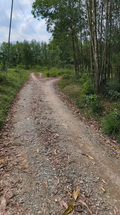 Đất nền 125m² Chợ Chùa Đà Lạt - Sổ hồng chính chủ, ô tô vào tận nơi!