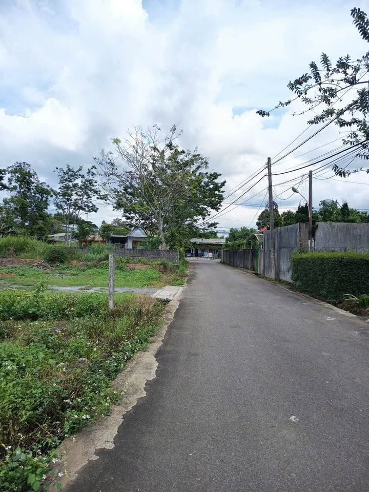 Đất nền Hẻm 91 Nguyễn Tri Phương, Bảo Lộc 165m² - Đường to ô tô