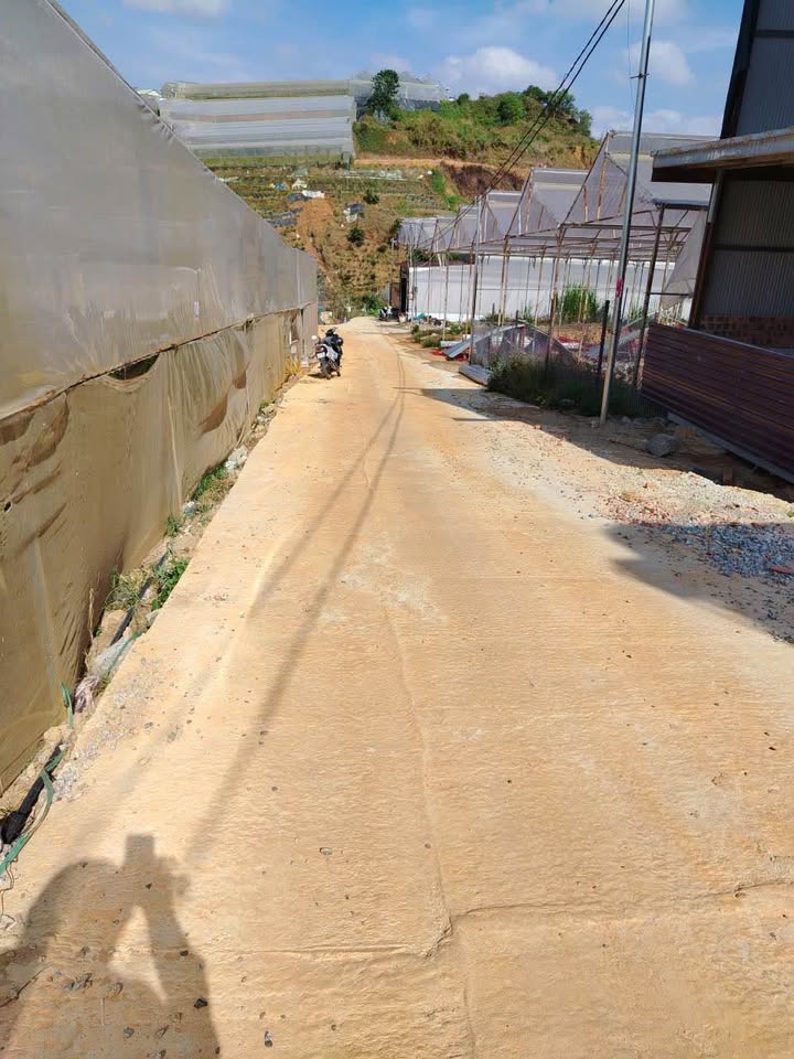 Đất Nền Phường 7 Đà Lạt 64m² - Vị Trí Đẹp, Giá Thương Lượng