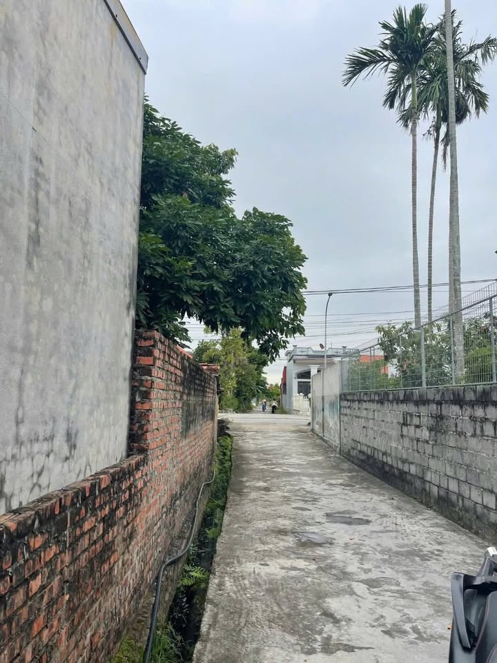 Đất nền Thọ Linh, Kiến Thụy - 76.8m² - Sẵn sàng đầu tư