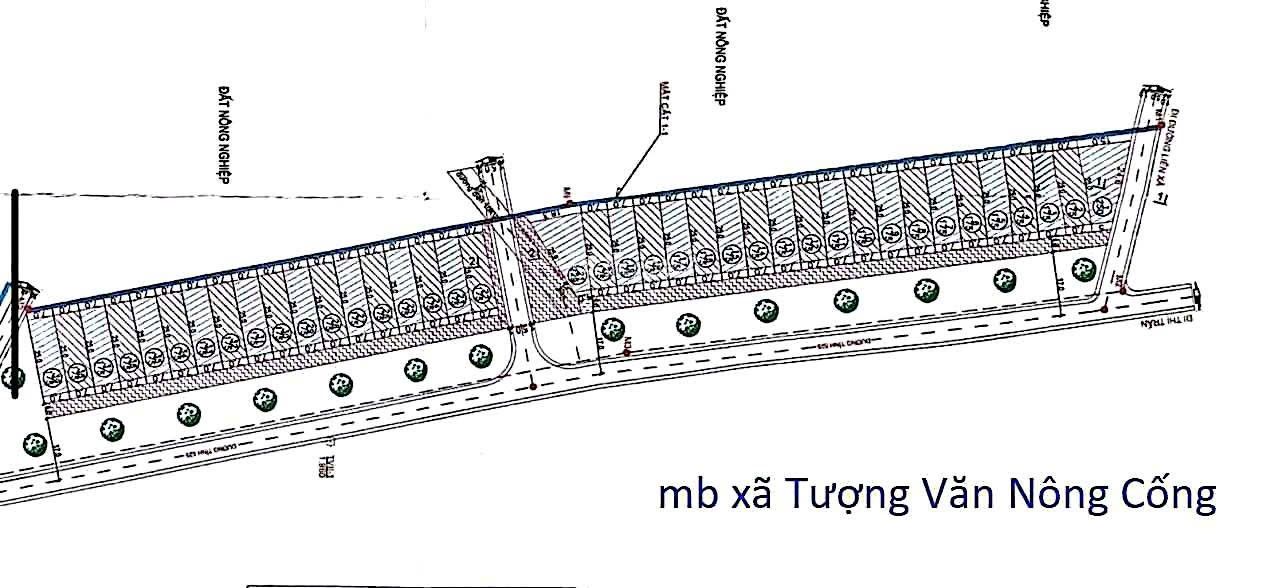 Đất mặt tiền Tỉnh lộ 525 - Nông Cống, Thanh Hóa - 230m² - Sổ đỏ sẵn sàng