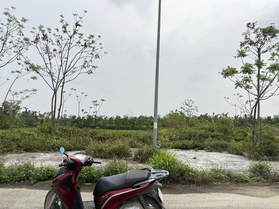 Đất nền kinh doanh 150m² mặt tiền 15m tại Hoằng Hóa, Thanh Hóa - Giá 2.3 tỷ/lô