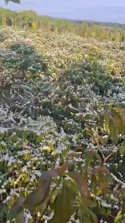 Đất Nền Thuận An Đắk Mil 3600m² - Tiềm Năng Tăng Giá Vượt Trội