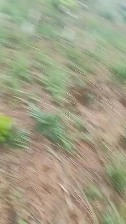 Đất nền 1ha Quảng Tâm, Tuy Đức 600 triệu - Sổ đỏ chính chủ!