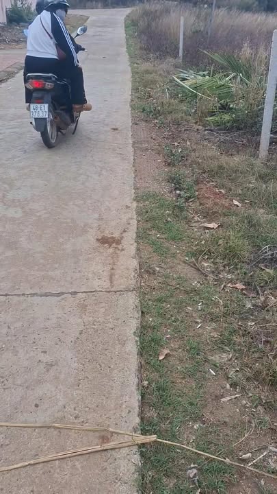 Đất nền Đắk Hòa, Đắk Song 1100m² - Thổ cư 100%, giá 390 triệu