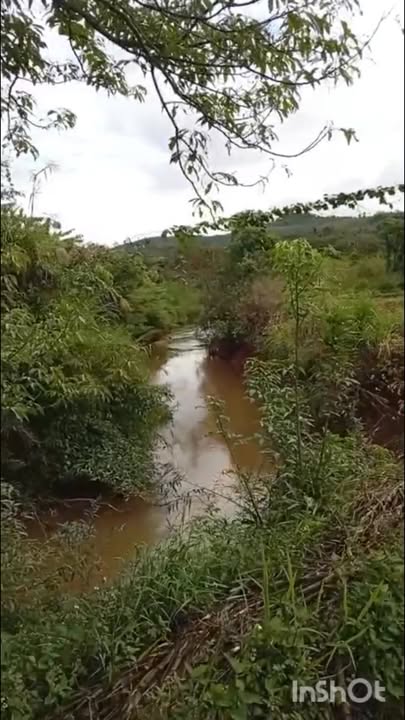 Đất vườn Xã Tân Hà, Lâm Hà 1.1ha - Sinh thái xanh, nghỉ dưỡng lý tưởng!