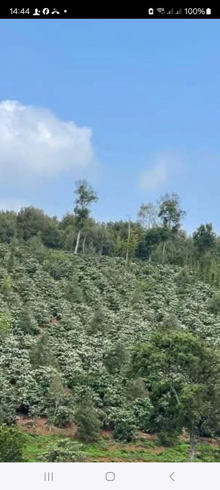 Đất nền Đức Minh, Đắk Mil 7000m² giá 2.1 tỷ - Tiềm năng tăng giá vượt trội!