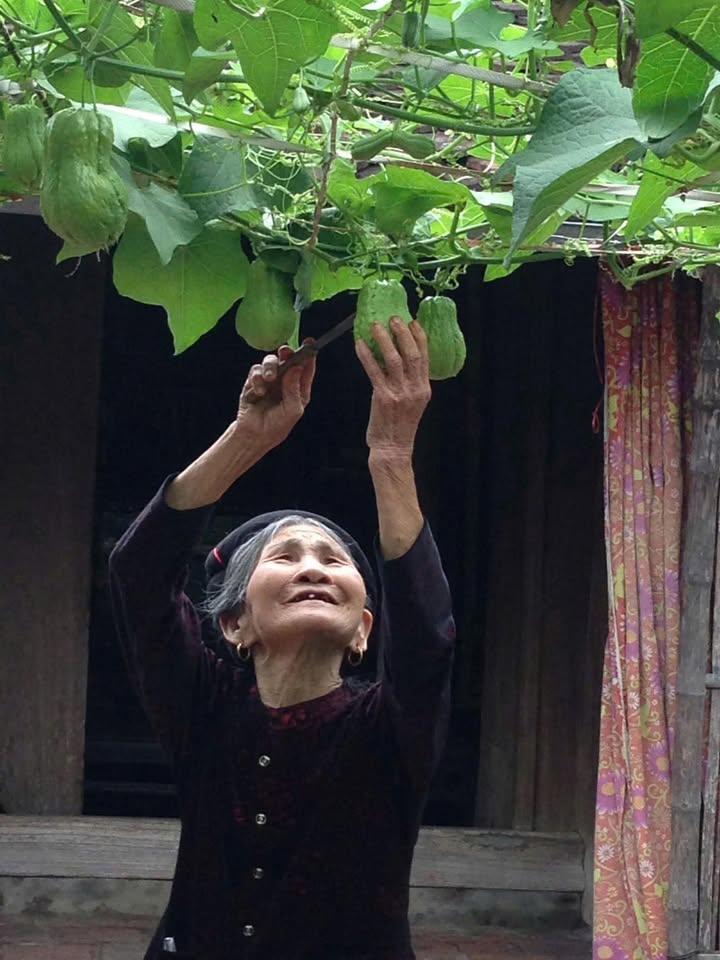 Bán Đất Vườn 300m² Vị Thanh - Sổ Đỏ Rõ Ràng, Gần Chợ Phường 4