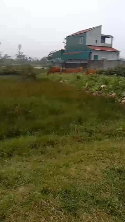 Bán đất 200m² tại Phạm Dương, Kỳ Anh, Hà Tĩnh - Giá 2 tỷ, Sẵn Sổ Đỏ