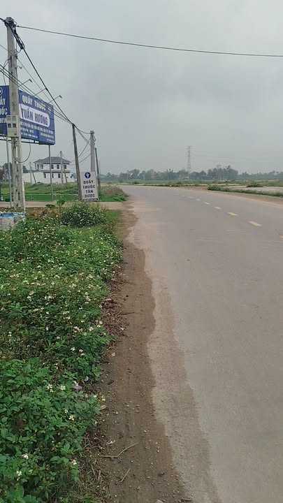 Đất nền Yên Mỹ Nông Cống 115m² - Sổ đỏ sẵn sàng, giá đầu tư 1.4 tỷ