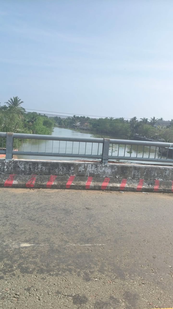 Đất nền Phú An 300m² - Đường to ô tô, sổ CLN bao sổ!