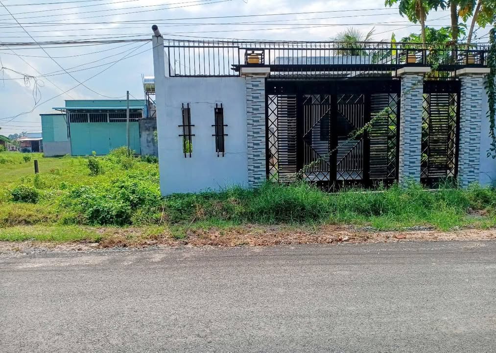 Nhà Phố Mặt Tiền Rừng Sến Đức Hòa 325m² - Kinh doanh đắc địa!