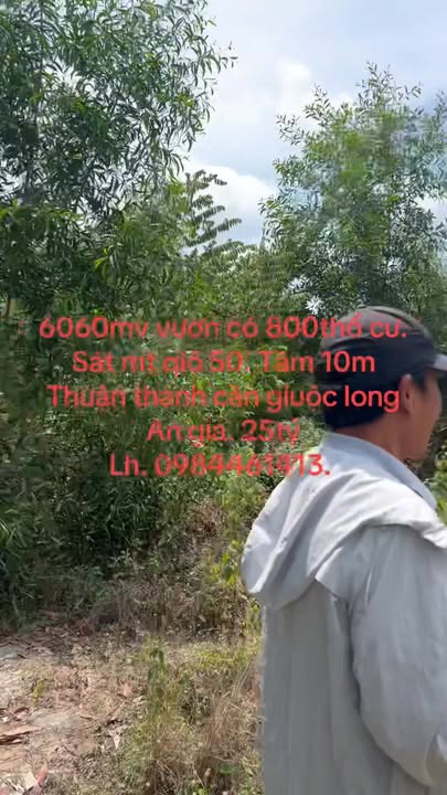 Đất nền Cần Giuộc 6060m² QL50 - Tiềm năng tăng giá vượt trội!