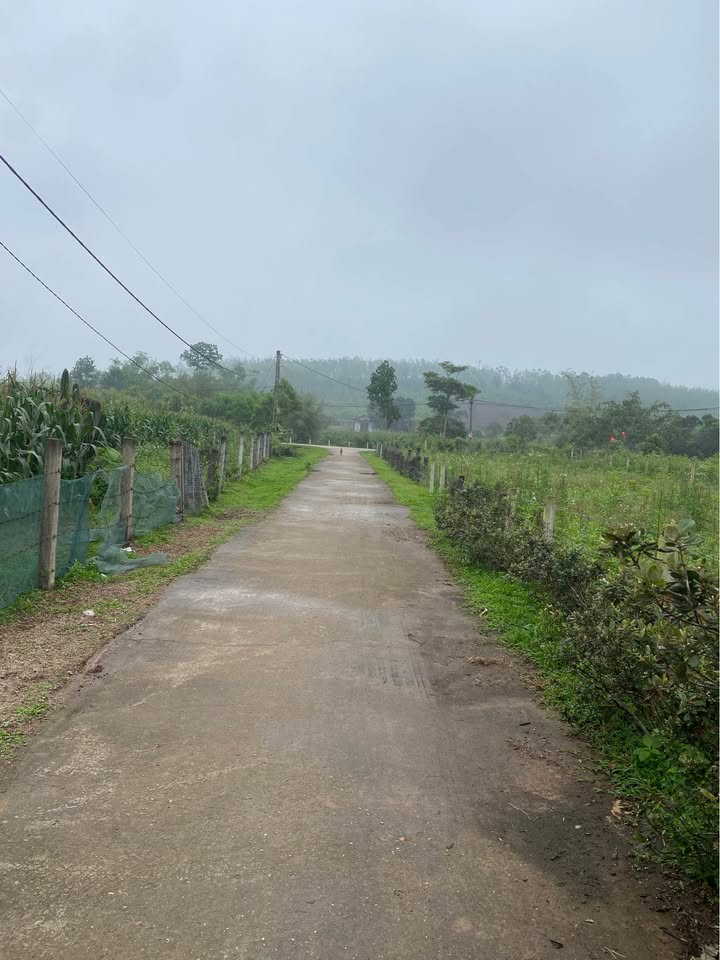 Đất nền Phúc Đồng, Hương Khê 216m² - Tiềm năng tăng giá