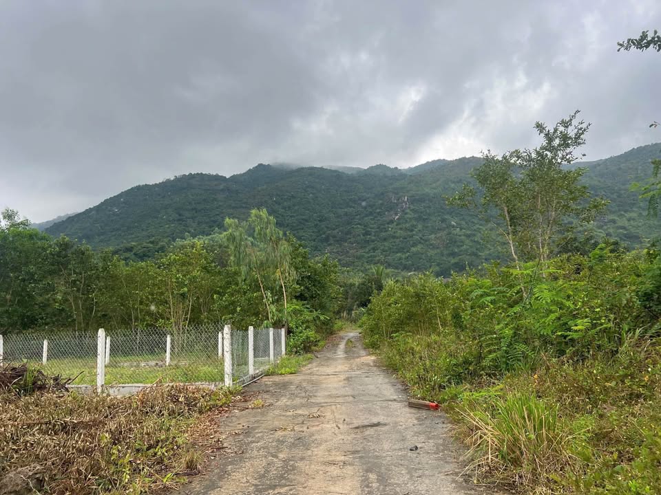 Đất nền Phước Đồng, Nha Trang 1400m² - Tiềm năng tăng giá vượt trội!