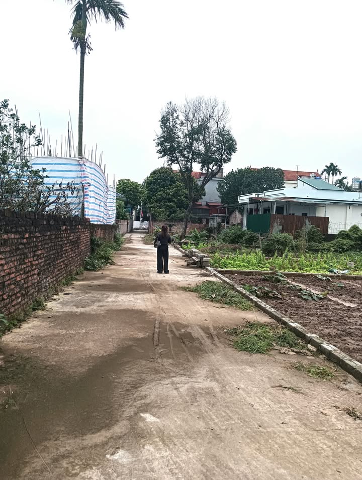 Đất Thường Tín 47.7m² - Sổ Đỏ Vuông Vắn, Giá 2.6 Tỷ