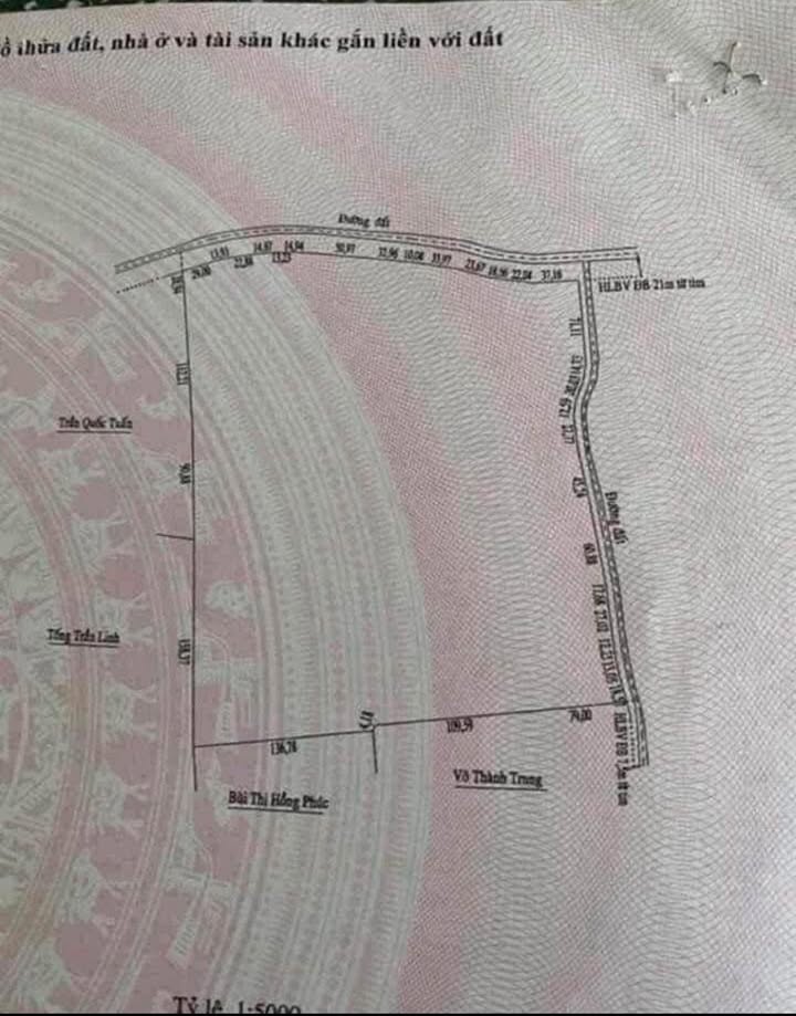 Đất vườn An Phú 12ha - Sổ hồng chính chủ, tiềm năng sinh lời!