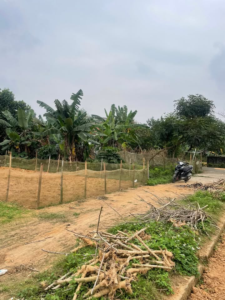 Đất nền Việt Trì 120m² - Tiềm năng tăng giá vượt trội!