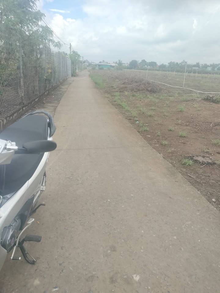 Đất nền Xã Bình Nghị, Gò Công Đông 185m² - Đất thổ cư 100%