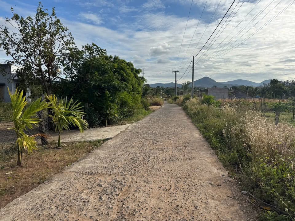 Đất Vườn Ea H'Leo 2244m² View Hồ - Nghỉ dưỡng lý tưởng!