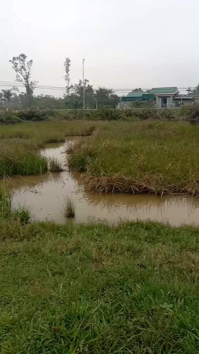 Đất Thổ Cư 200m² Lối 2 TL7, Thạch Hà, Hà Tĩnh - Sổ Đỏ Sẵn Sàng