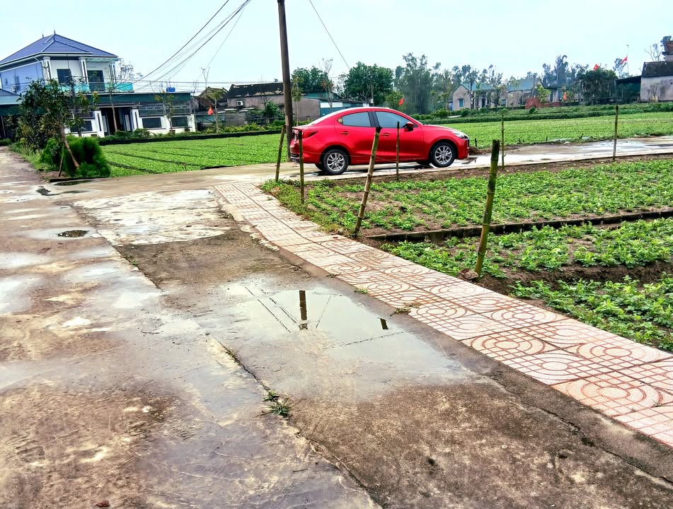 Đất nền Thôn Hồng Dinh, Thạch Trị 182m² - Sổ đỏ chính chủ!